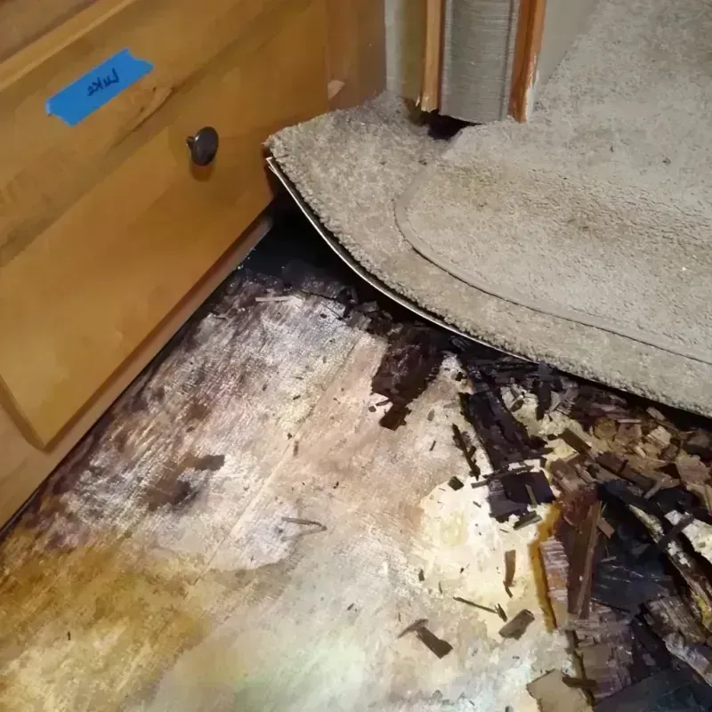 Wood Floor Water Damage in Vermilion County, IL